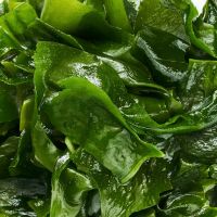 ingredient icon