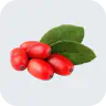 Berberine