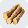 Burdock