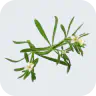 Cleavers